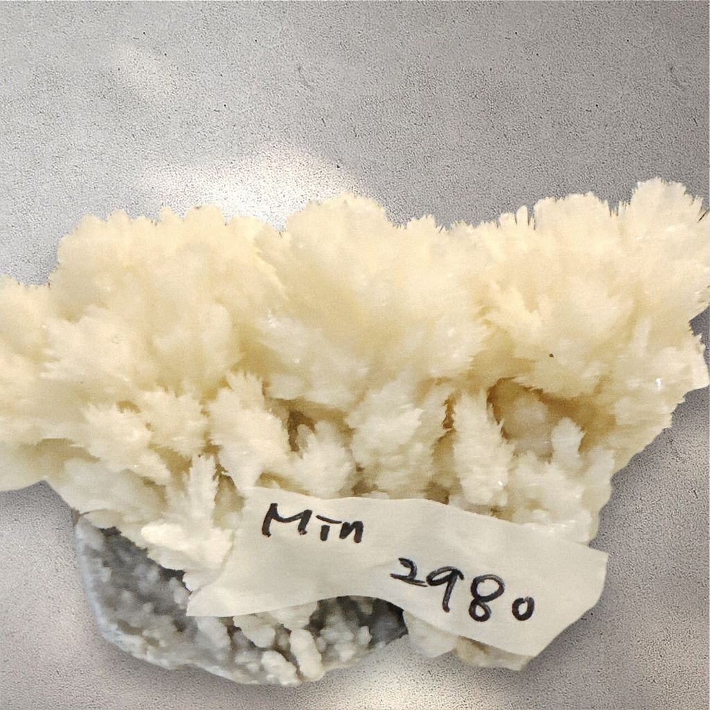 LINE_ALBUM_113912直播邀請_240912_17