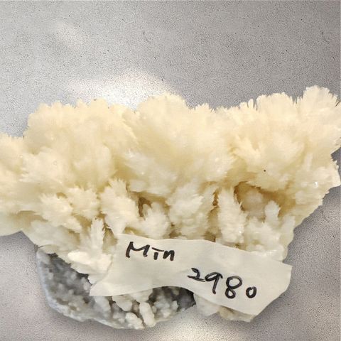 LINE_ALBUM_113912直播邀請_240912_17