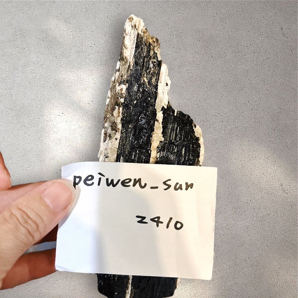 LINE_ALBUM_113912直播邀請_240912_15