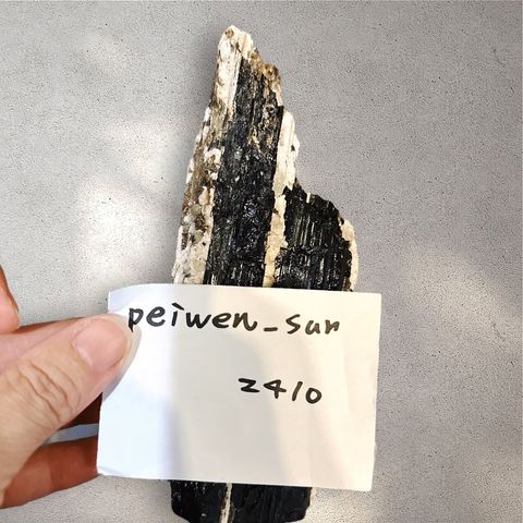 LINE_ALBUM_113912直播邀請_240912_15