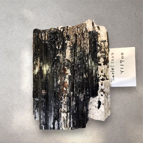 LINE_ALBUM_113912直播邀請_240912_12