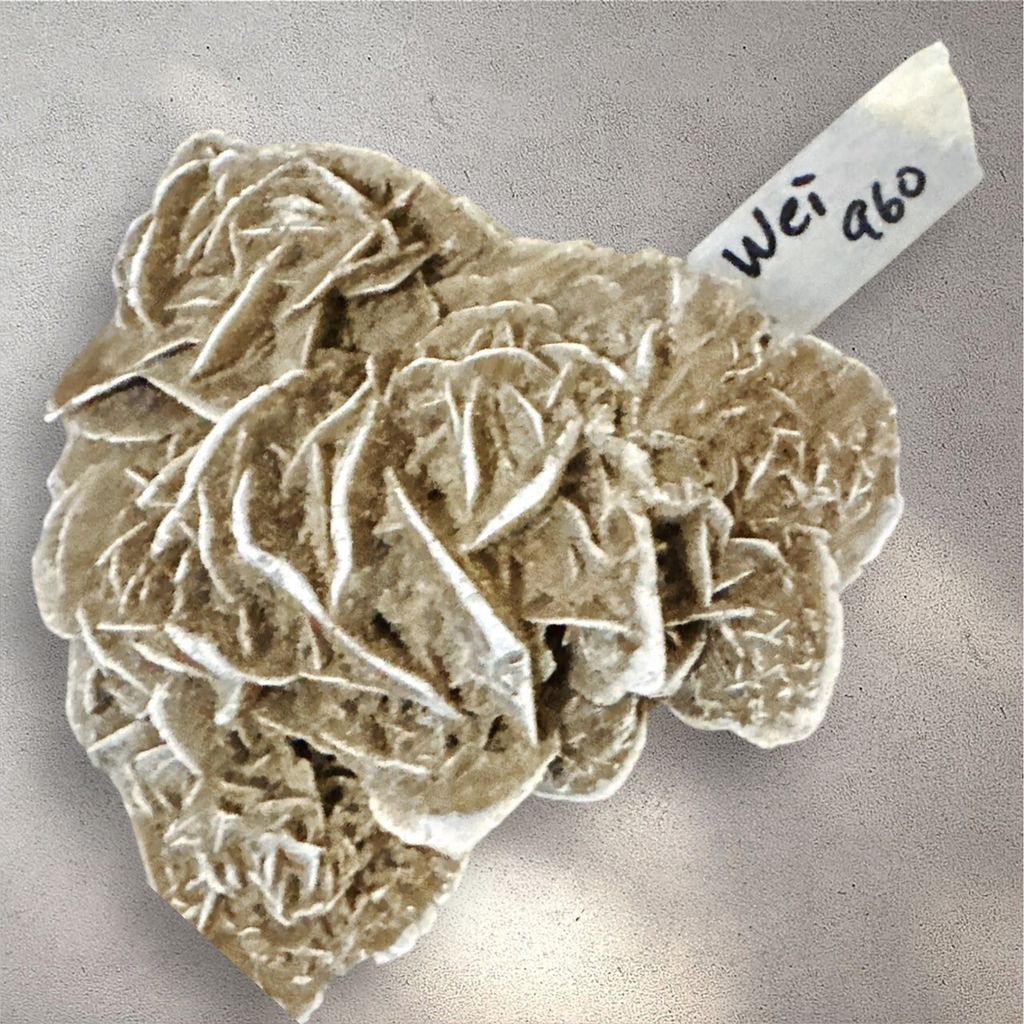 LINE_ALBUM_113912直播邀請_240912_11