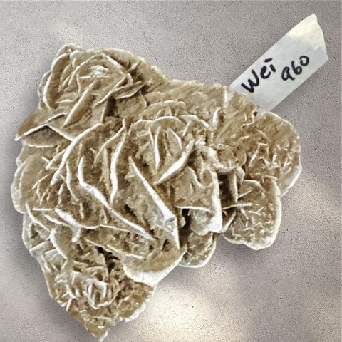 LINE_ALBUM_113912直播邀請_240912_11