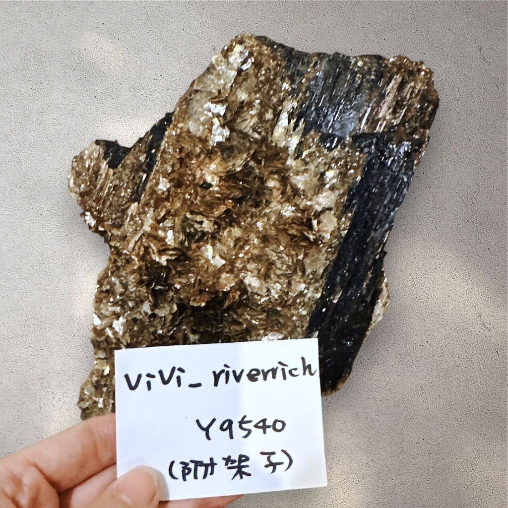 LINE_ALBUM_113912直播邀請_240912_10