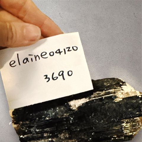 LINE_ALBUM_113912直播邀請_240912_7