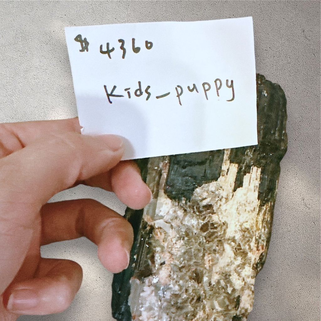 LINE_ALBUM_113912直播邀請_240912_3