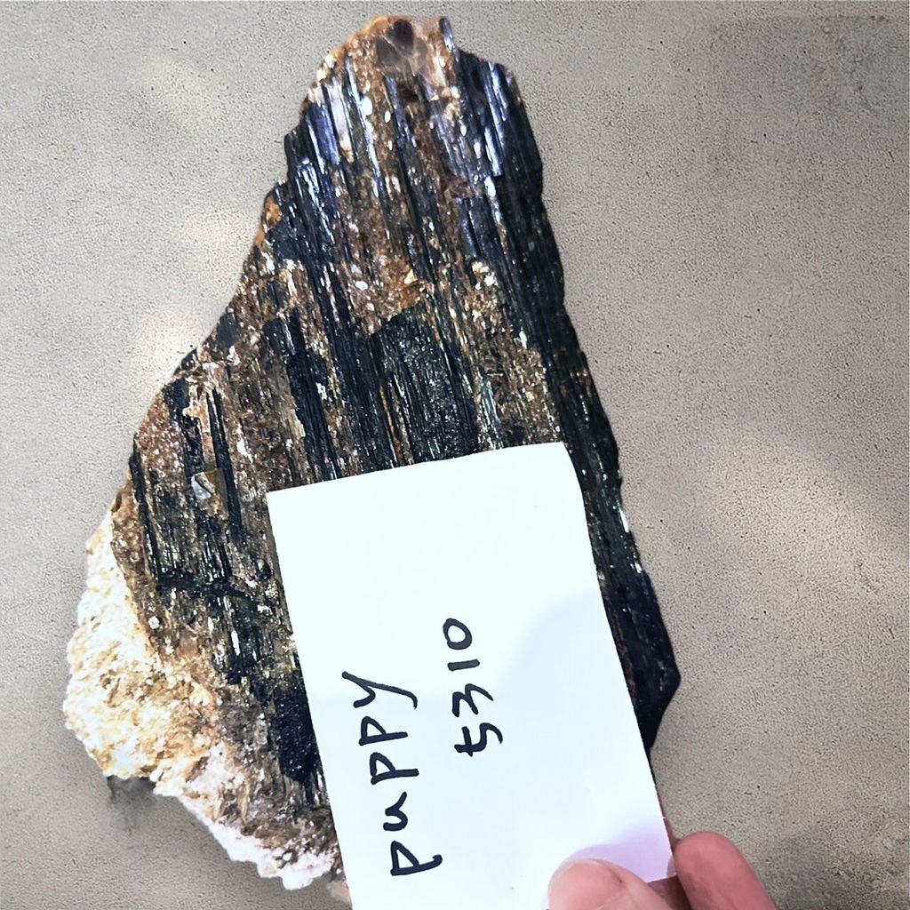 LINE_ALBUM_113912直播邀請_240912_1