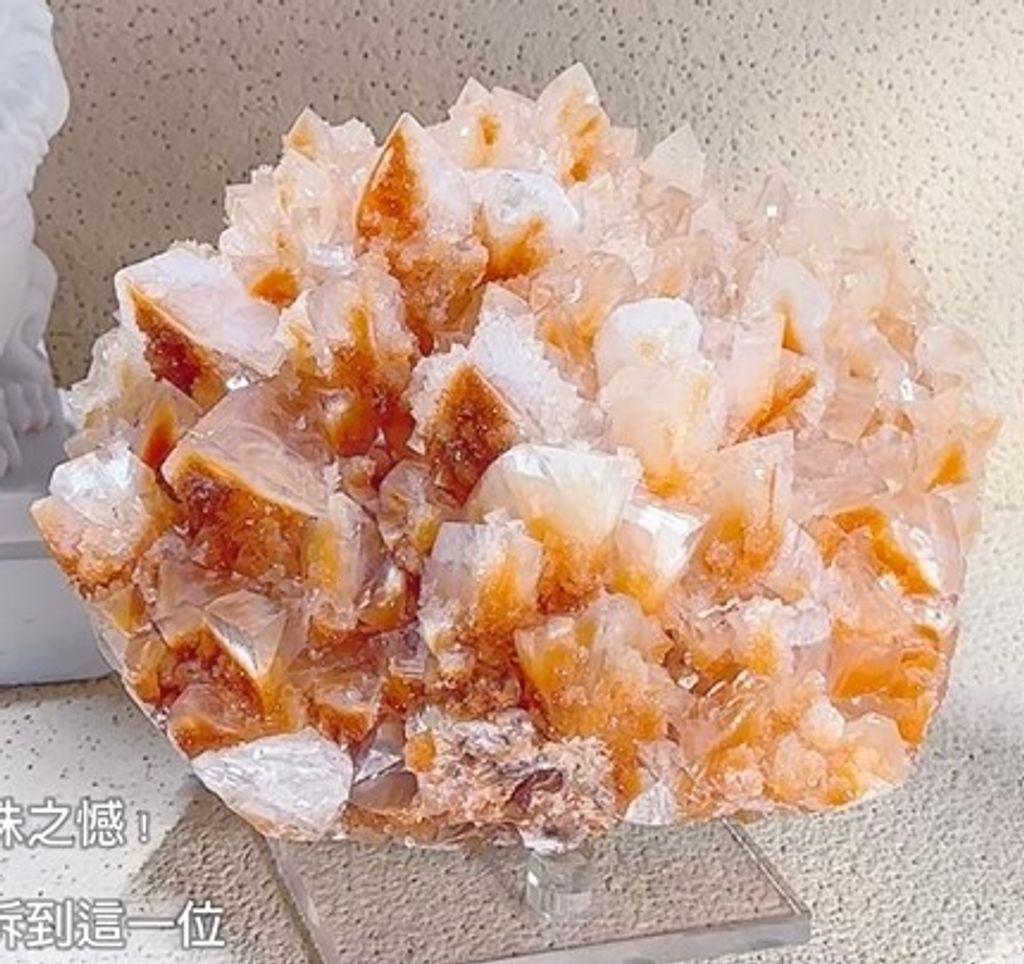 螢幕擷取畫面 2024-09-15 180329