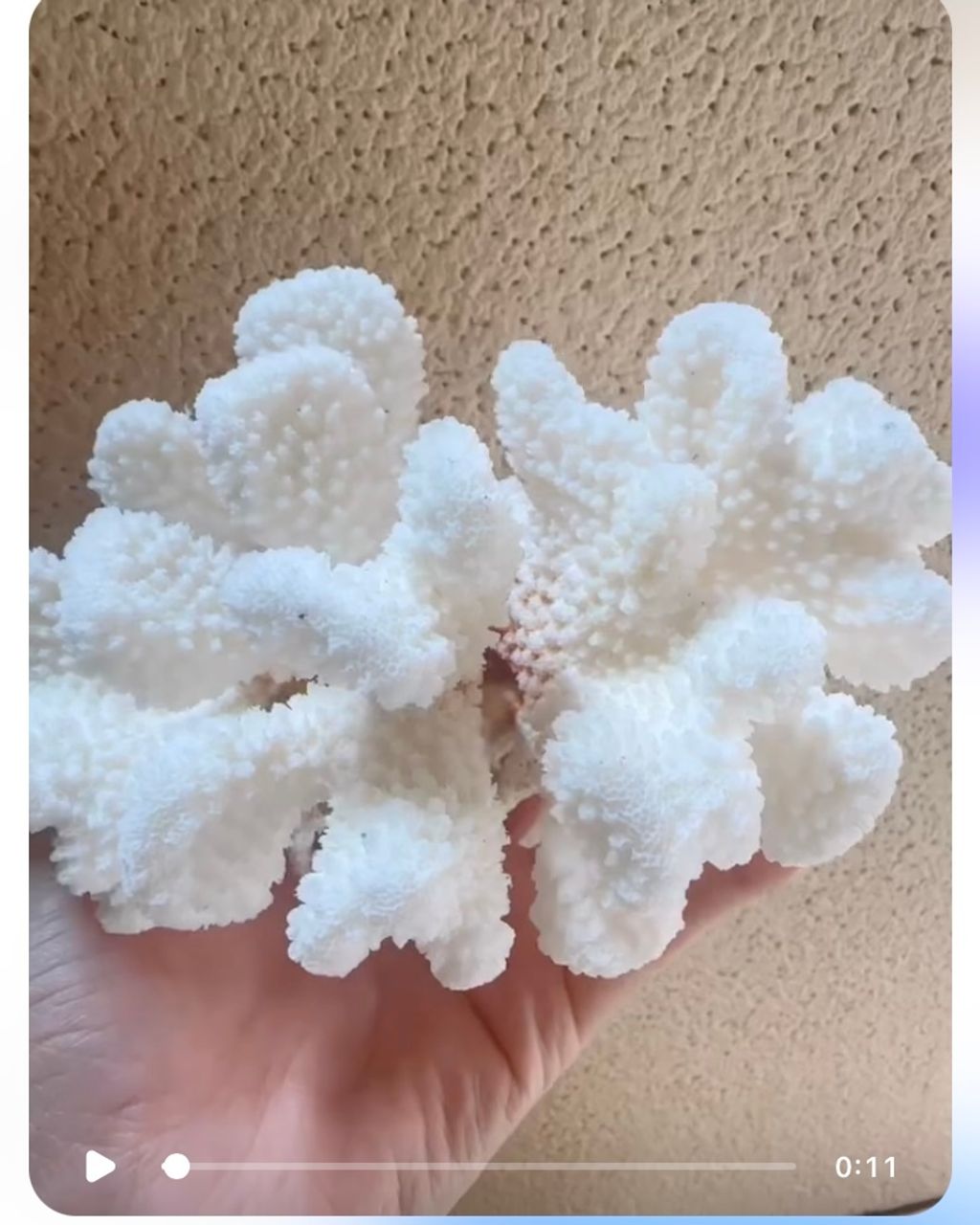 IMG_4439-1727404241885