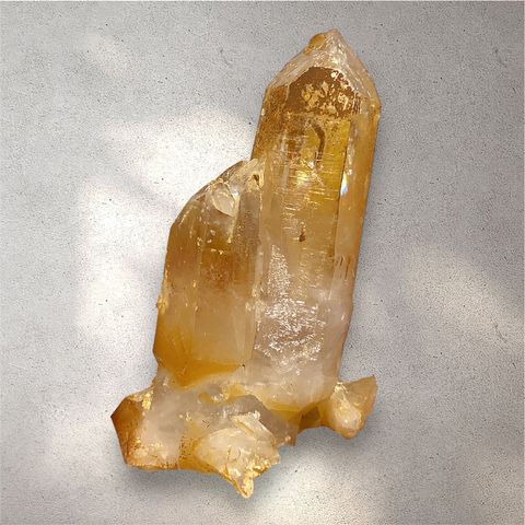 Photoroom_20240927_194559-1727437580094