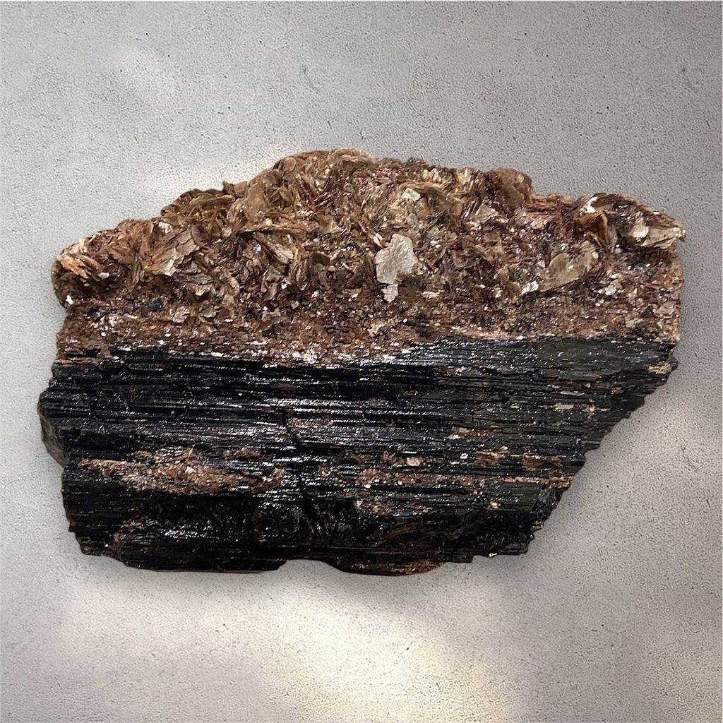 Photoroom_20240928_200242-1727524984365