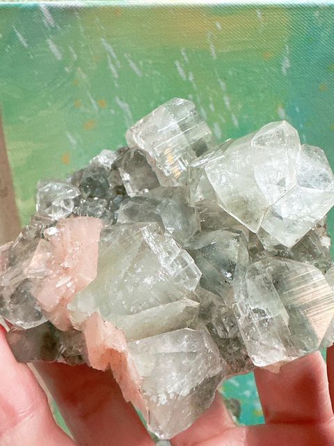 IMG_4604-1727697064410