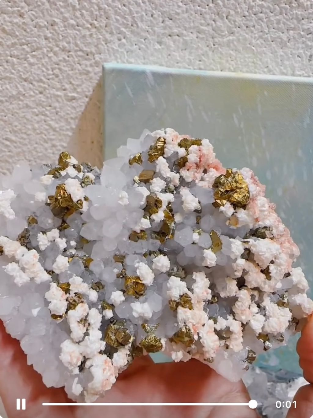 IMG_4614-1727749930243