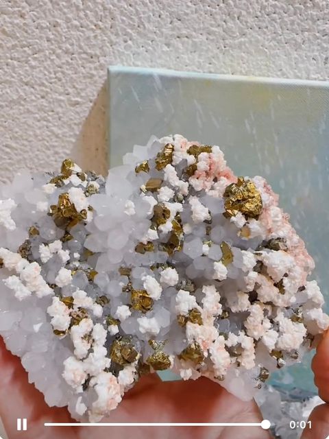 IMG_4614-1727749930243