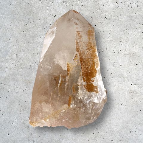 Photoroom_20241014_143408-1728887714279