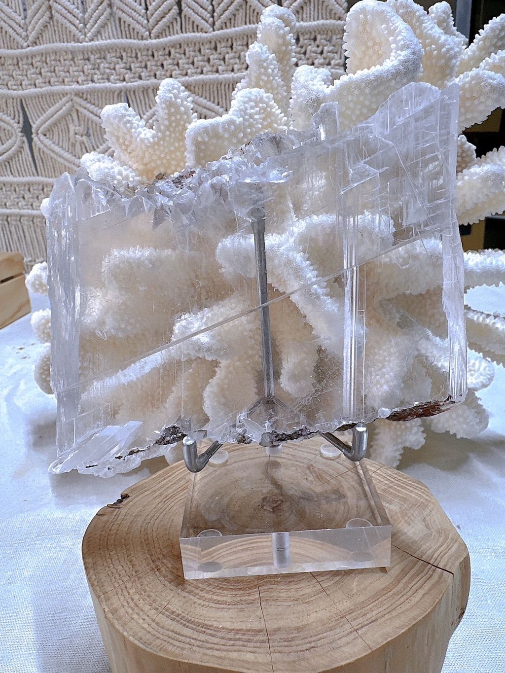 IMG_5024-1728973593801