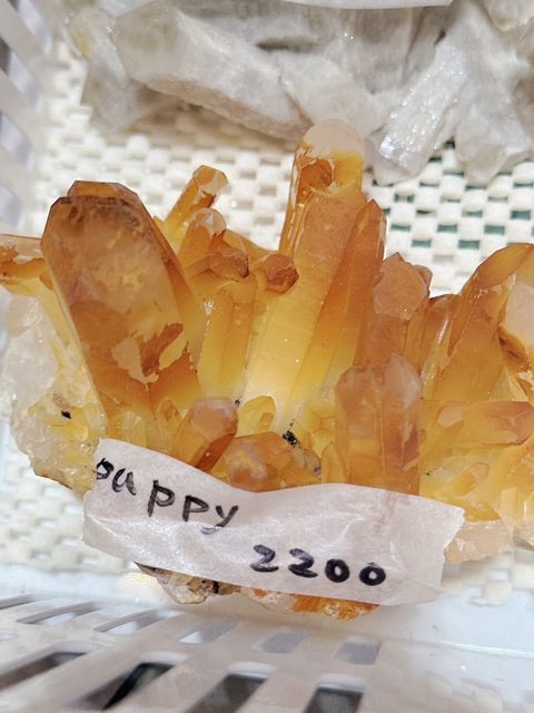 S__29245609_0