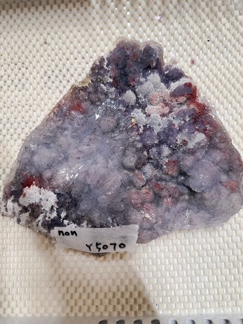 S__29245620_0