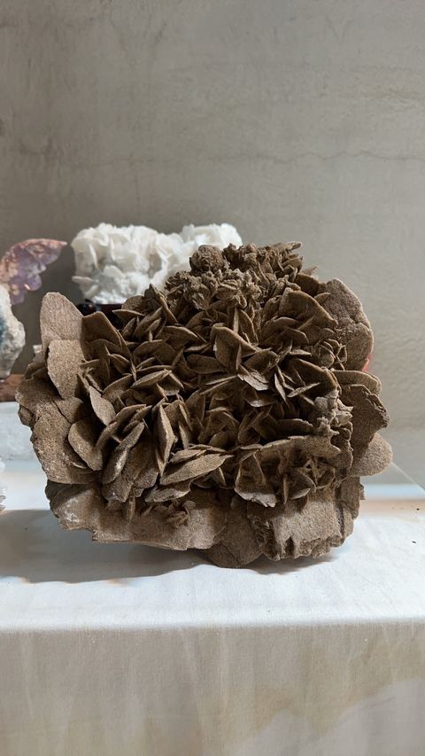 IMG_5270-1729488474821