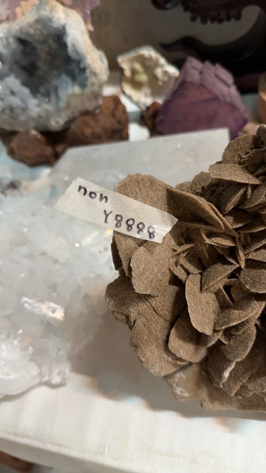 IMG_5271-1729488474827