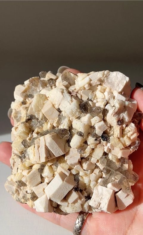 IMG_5345-1729820787469