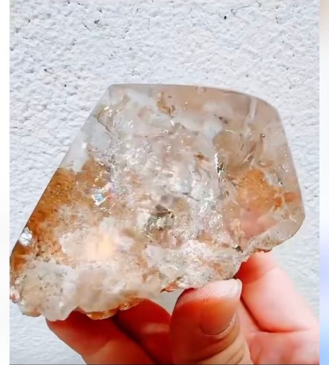 IMG_5392-1729904699693