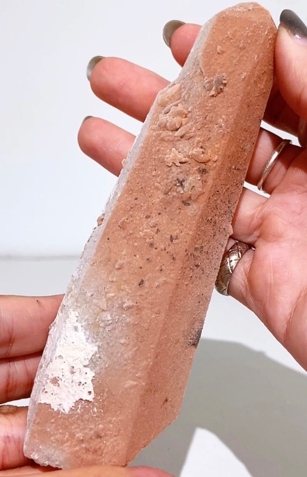 27AC00C7-5092-4204-B241-8AF0E4ED8E1D-1730123785418