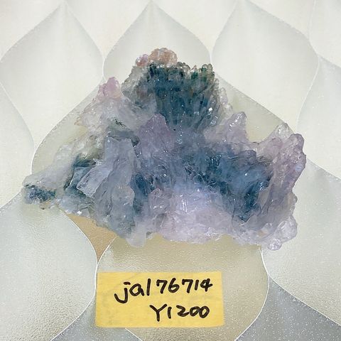 S__74686482_0