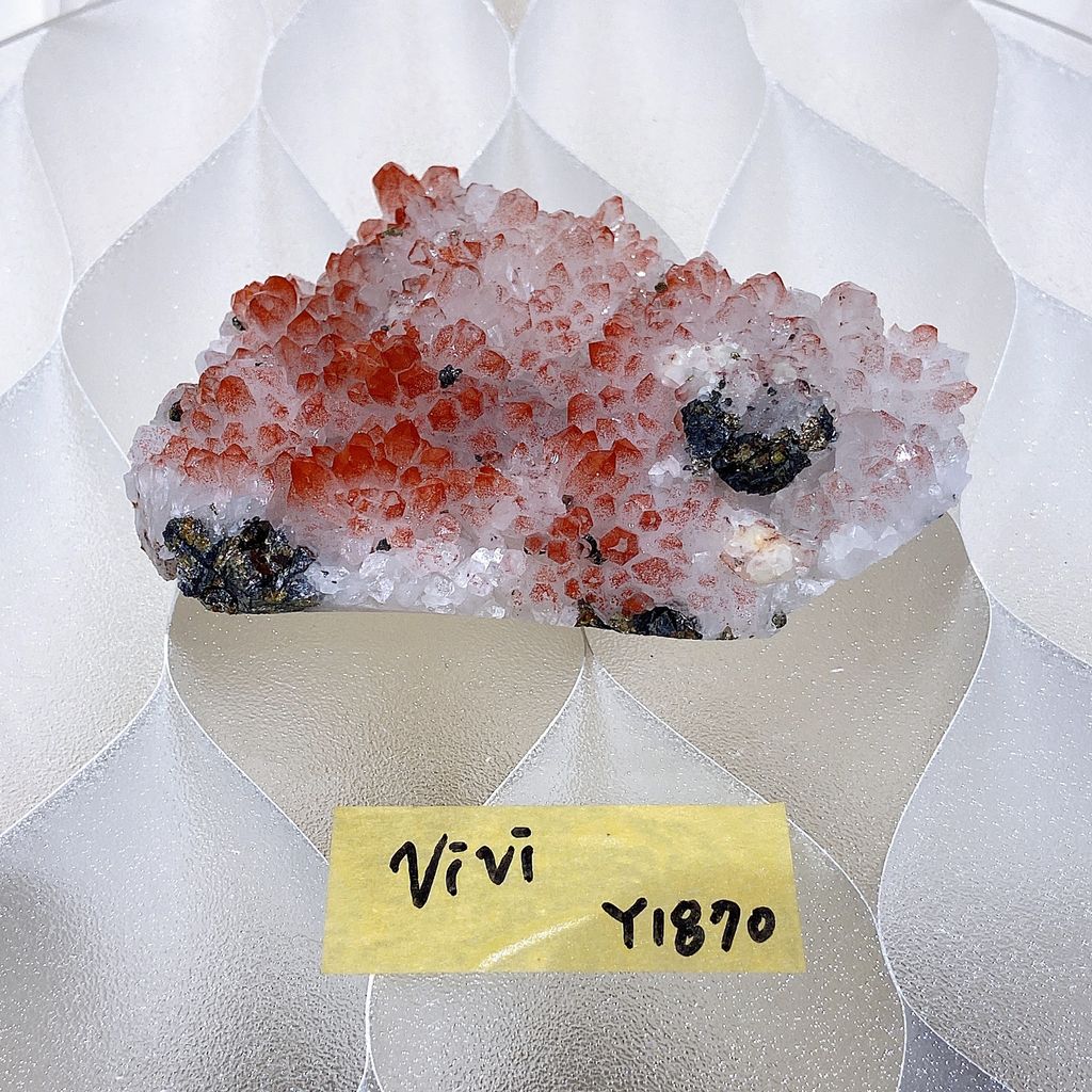 S__74686502_0