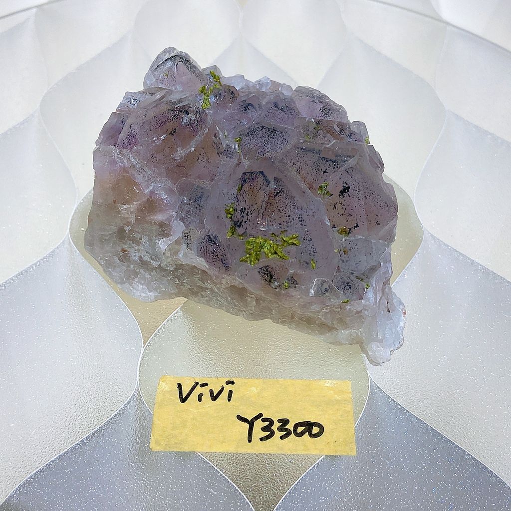 S__74686505_0