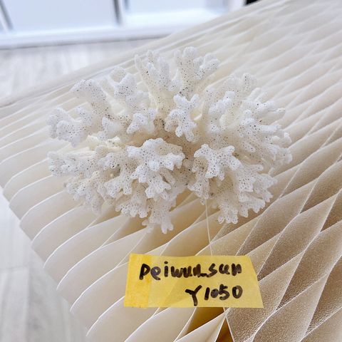 IMG_5553-1730379184697