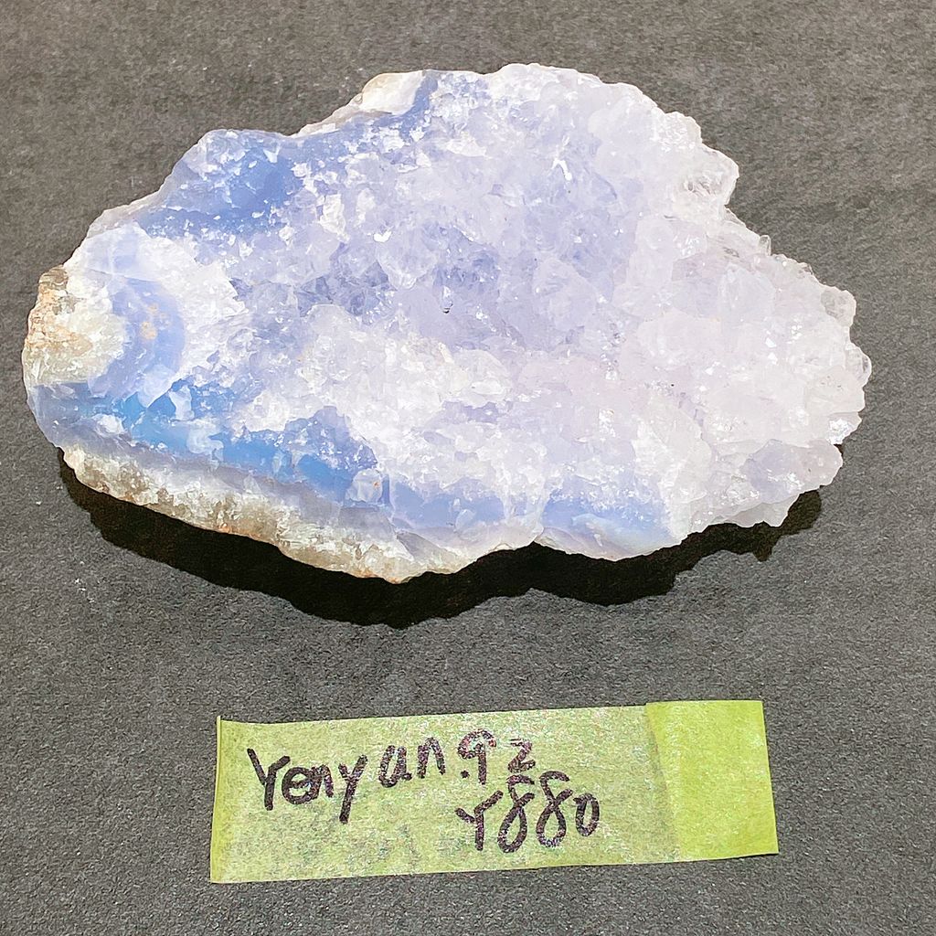 IMG_5653-1730512307047