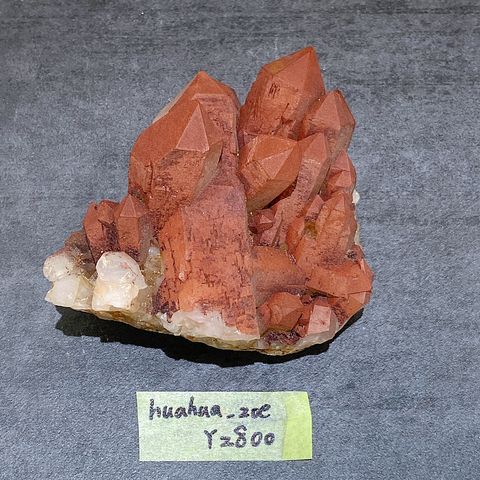 IMG_5654-1730512586740