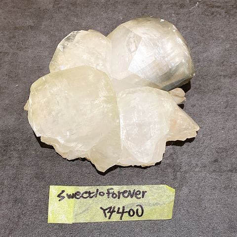 IMG_5657-1730512783767