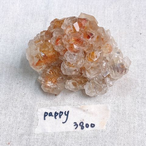 S__75251731_0