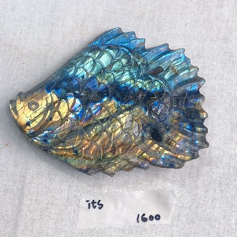 533476783074050162_0