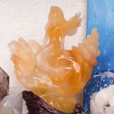 IMG_5890-1730856281201