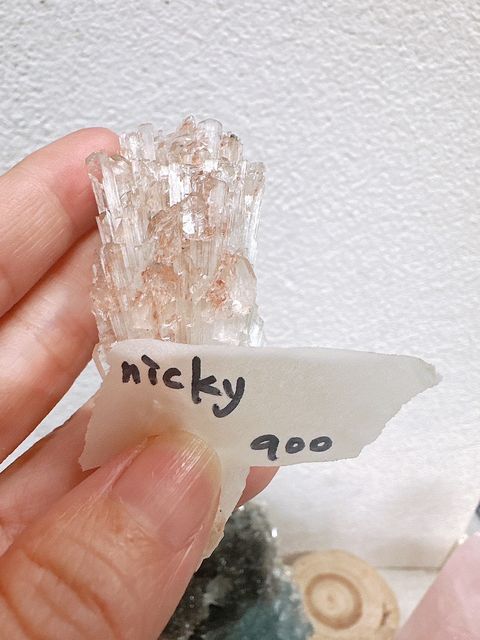 IMG_6009-1731116152954