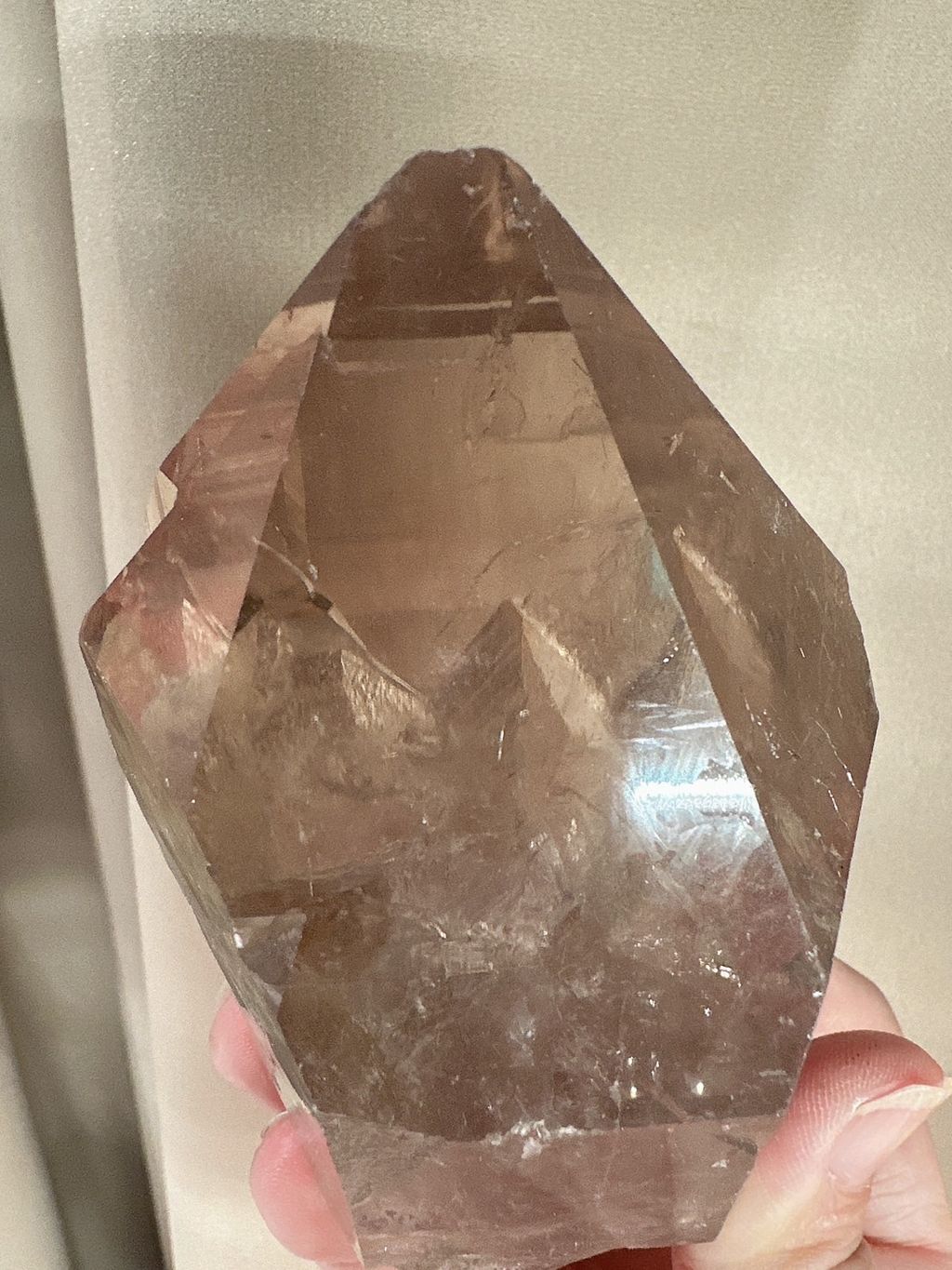 IMG_6050-1731132877425