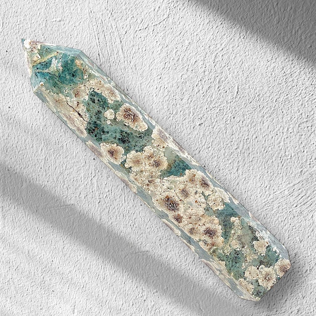 Photoroom_20241110_153710-1731224240008