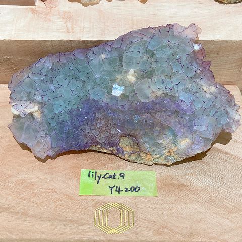 IMG_6126-1731284343856