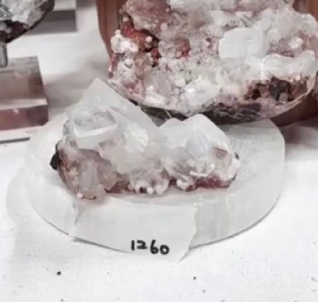 IMG_6131-1731285150769