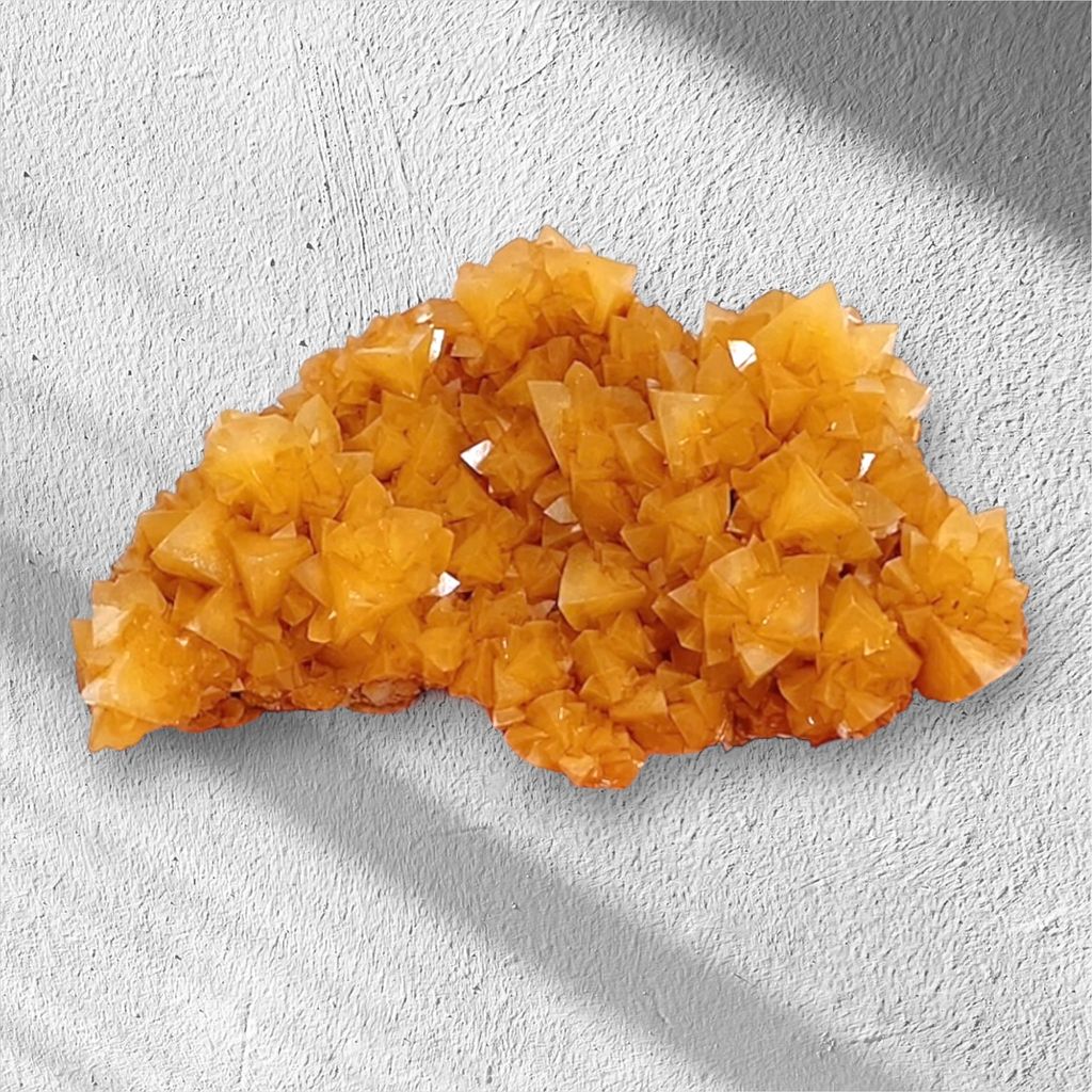 Photoroom_20241115_084130-1731631302118