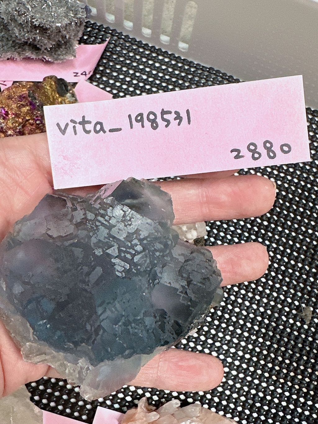 S__29638689_0