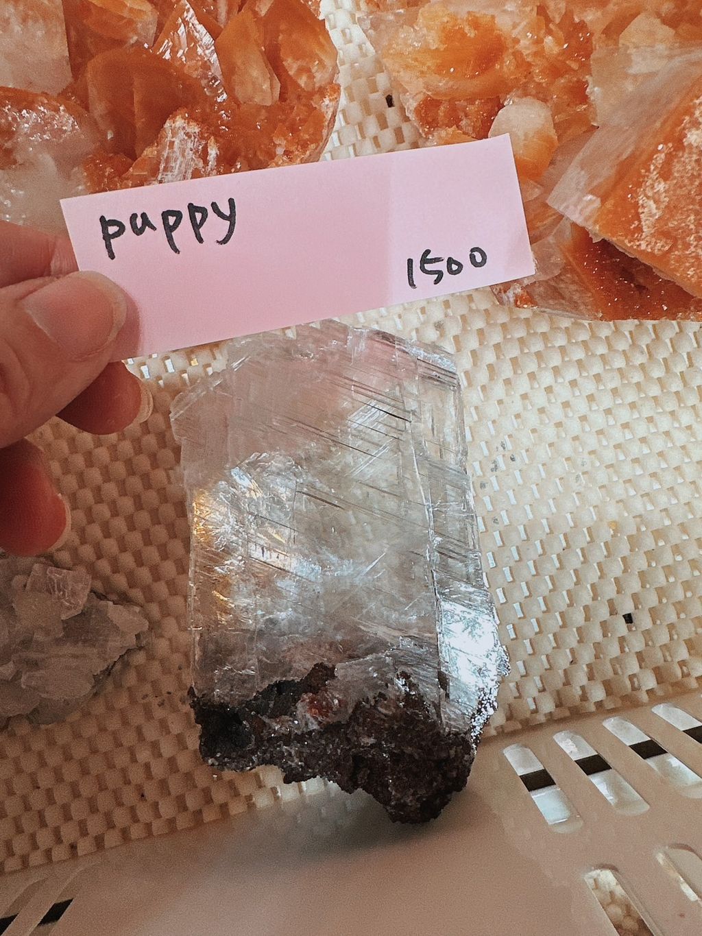 S__29638706_0