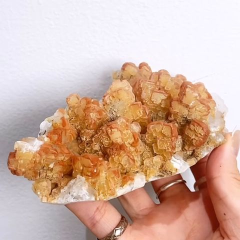 IMG_6320-1731756250540