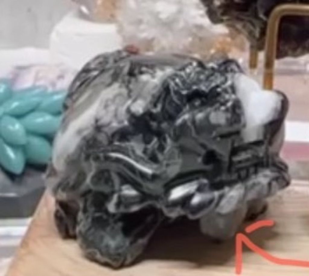 IMG_6368-1731937426446