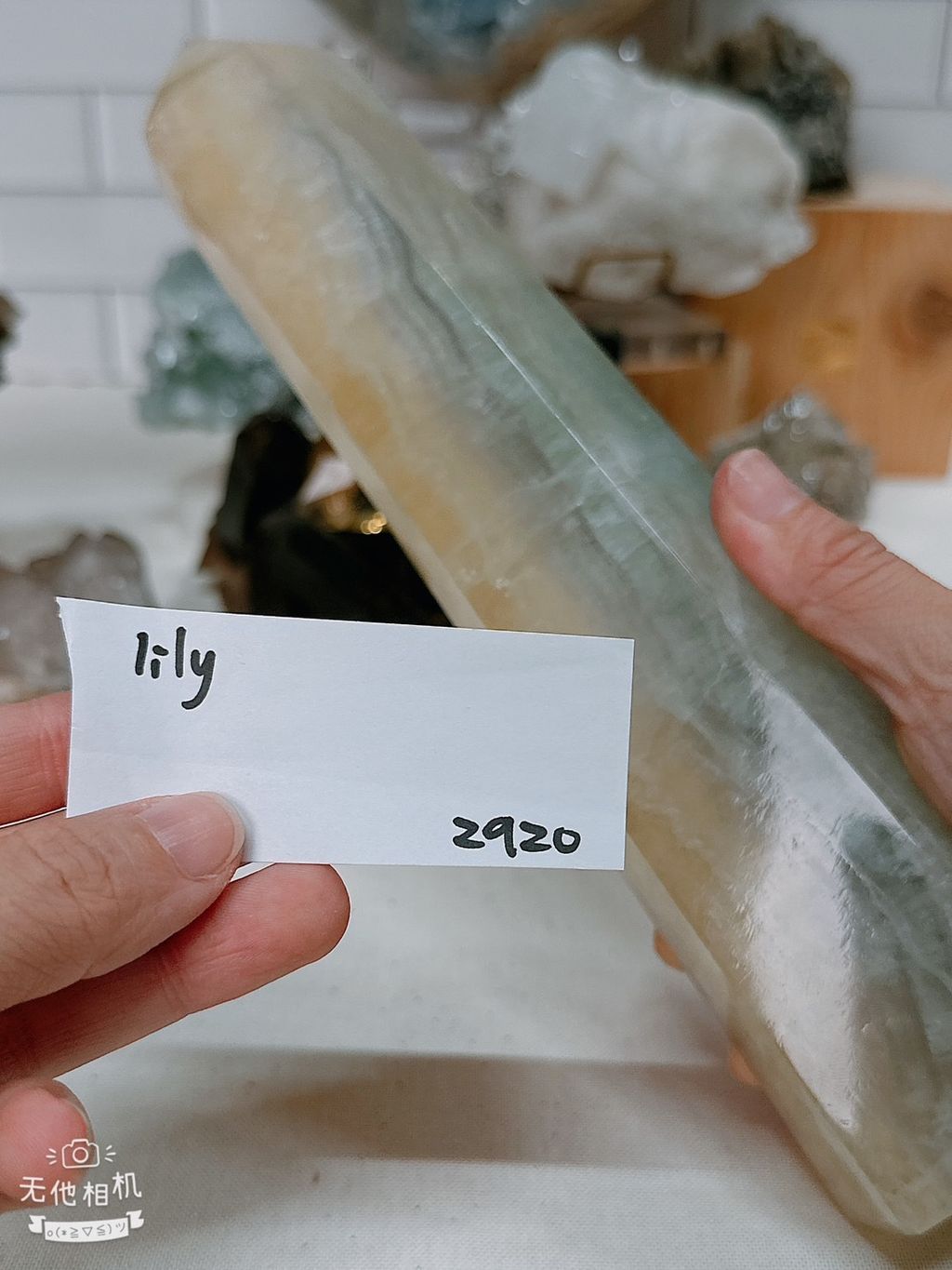S__7282690_0