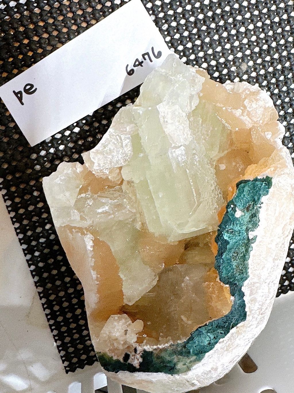 IMG_6820-1732696479770