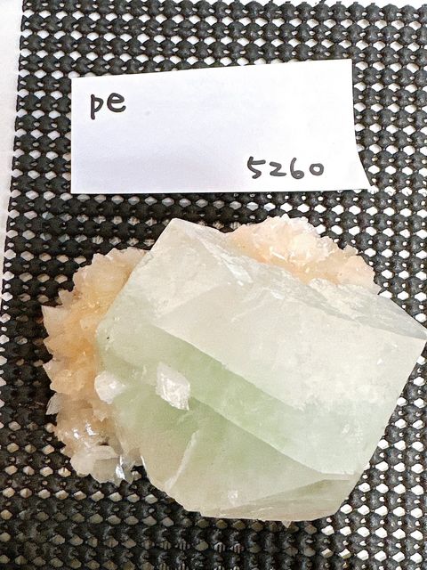 IMG_6821-1732696525321